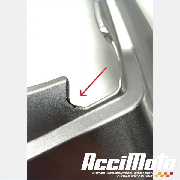 Pièce Moto Poignée passager (monobloc) YAMAHA FZ1 S FAZER