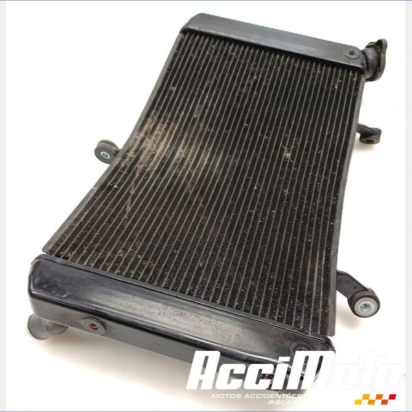 Pièce Moto Radiateur de refroidissement YAMAHA FZ1 S FAZER