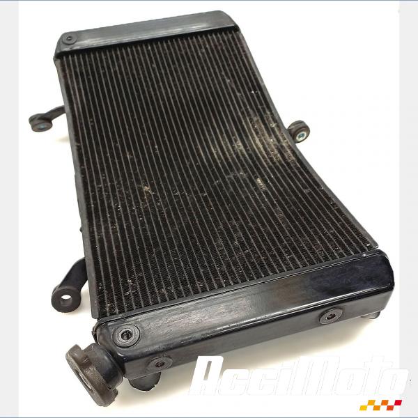 Pièce Moto Radiateur de refroidissement YAMAHA FZ1 S FAZER