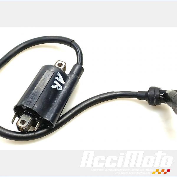 Pièce Moto Bobine d'allumage cylindre arrière YAMAHA DRAGSTAR XVS125