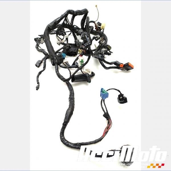 Part Motor bike Faisceau électrique (principal) KAWASAKI ER6 N