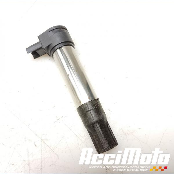 Pièce Moto Bobine crayon BMW R NINE T
