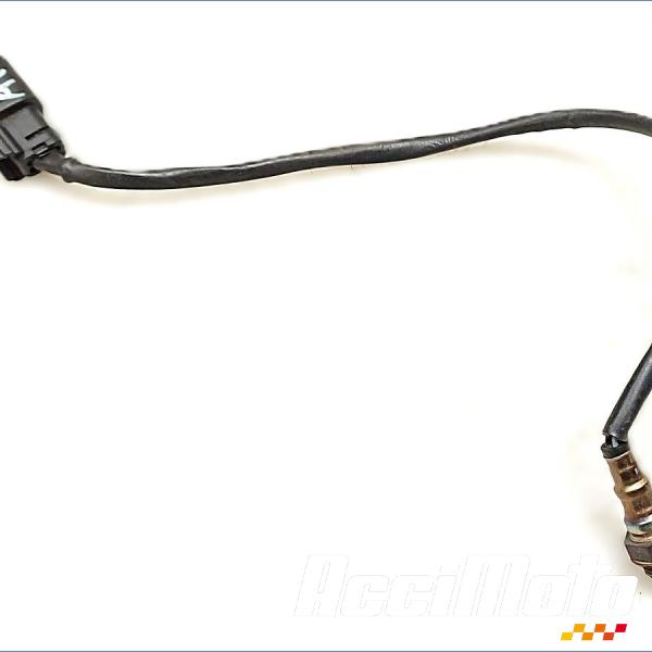 Pièce Moto Sonde lambda HARLEY DAVIDSON SPORTSTER XL883N IRON