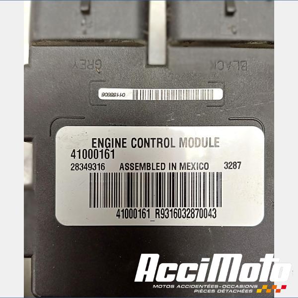 Part Motor bike Kit neiman+cdi HARLEY DAVIDSON SPORTSTER XL883N IRON