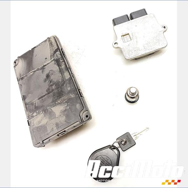 Part Motor bike Kit neiman+cdi HARLEY DAVIDSON SPORTSTER XL883N IRON