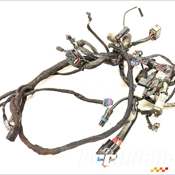 Pièce Moto Faisceau électrique (principal) HARLEY DAVIDSON SPORTSTER XL883N IRON