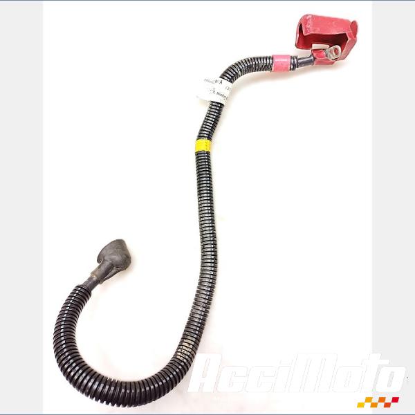 Pièce Moto Cable de batterie positif (+) HARLEY DAVIDSON SPORTSTER XL883N IRON