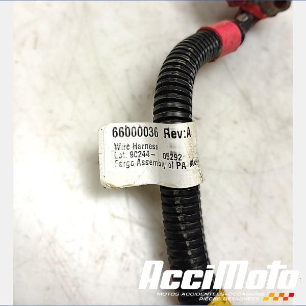 Pièce Moto Cable de batterie positif (+) HARLEY DAVIDSON SPORTSTER XL883N IRON