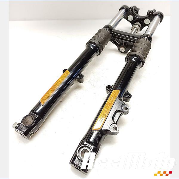 Pièce Moto Fourche complète HARLEY DAVIDSON SPORTSTER XL883N IRON