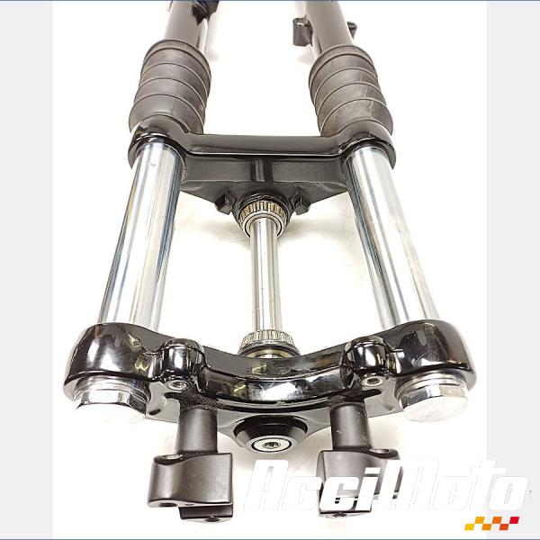 Pièce Moto Fourche complète HARLEY DAVIDSON SPORTSTER XL883N IRON