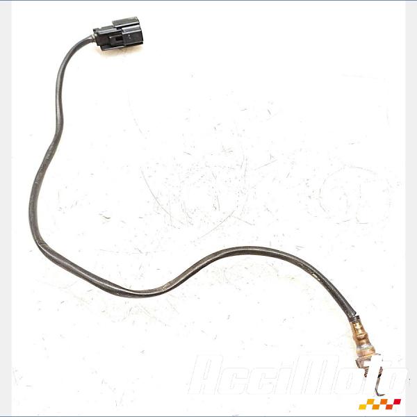 Pièce Moto Sonde lambda HARLEY DAVIDSON SPORTSTER XL883N IRON