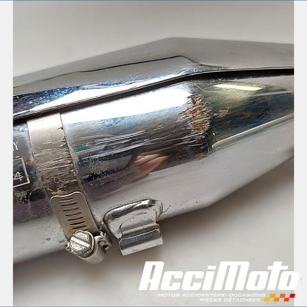 Pièce Moto Silencieux (la paire) HARLEY DAVIDSON SPORTSTER XL883N IRON