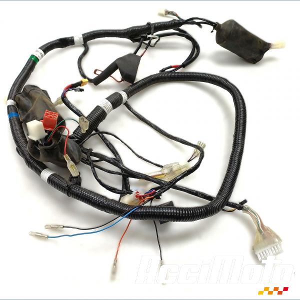 Pièce Moto Faisceau électrique (principal) SUPER SOCO CPX 125