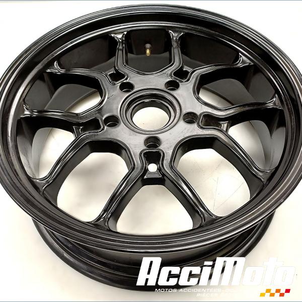 Part Motor bike Jante arrière LEONART PILDER 125