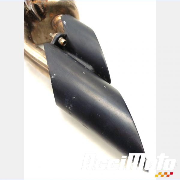 Part Motor bike Ligne d'échappement complète LEONART PILDER 125