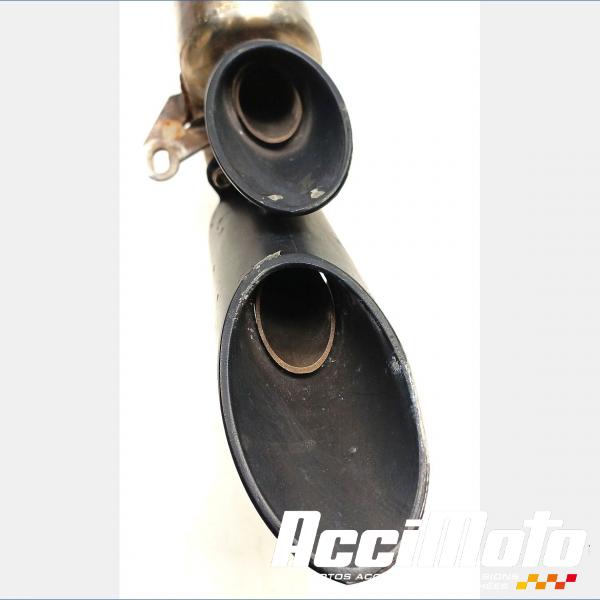 Part Motor bike Ligne d'échappement complète LEONART PILDER 125