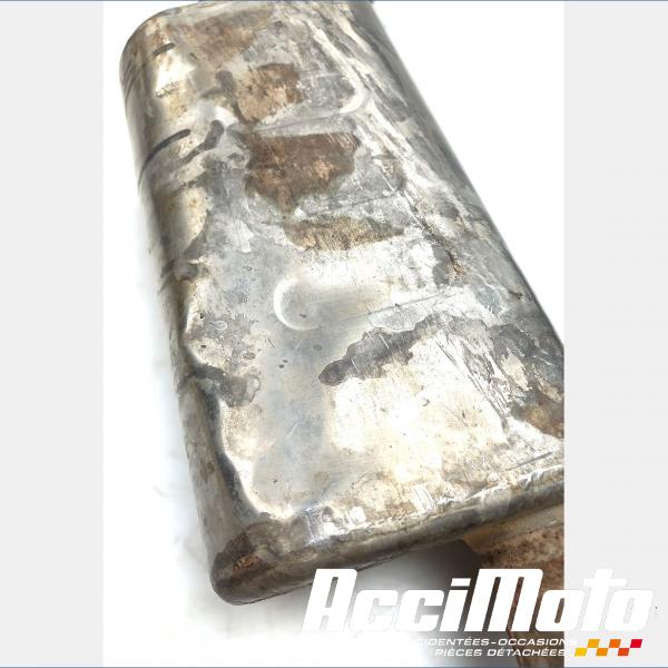 Part Motor bike Ligne d'échappement complète LEONART PILDER 125