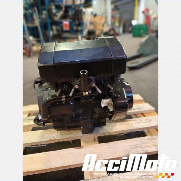 Part Motor bike Moteur LEONART PILDER 125