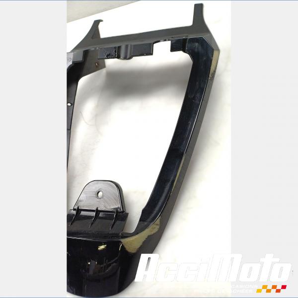 Part Motor bike Coque arrière de carénage LEONART PILDER 125