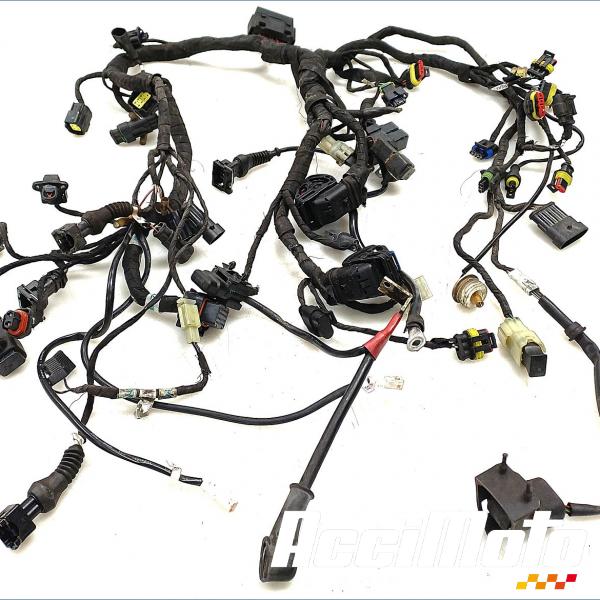Pièce Moto Faisceau électrique (principal) DUCATI SUPERBIKE 1198