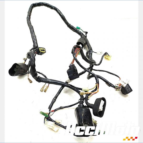 Pièce Moto Faisceau électrique (principal) YAMAHA BULLDOG BT1100