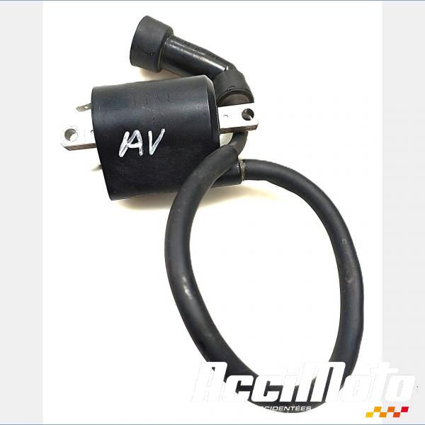 Part Motor bike Bobine d'allumage cylindre avant YAMAHA BULLDOG BT1100