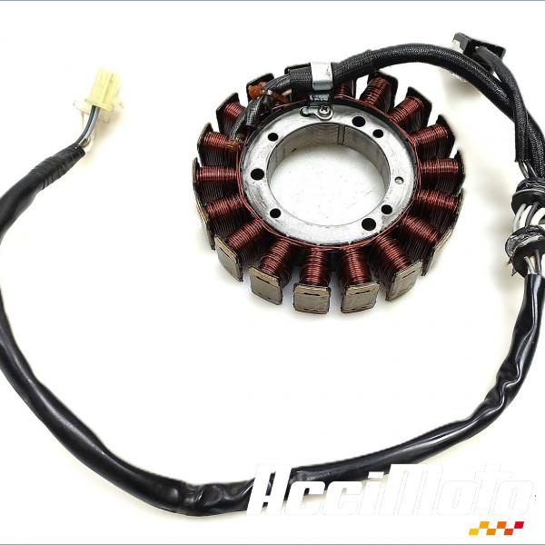 Part Motor bike Stator d'alternateur YAMAHA BULLDOG BT1100