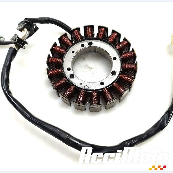 Part Motor bike Stator d'alternateur YAMAHA BULLDOG BT1100