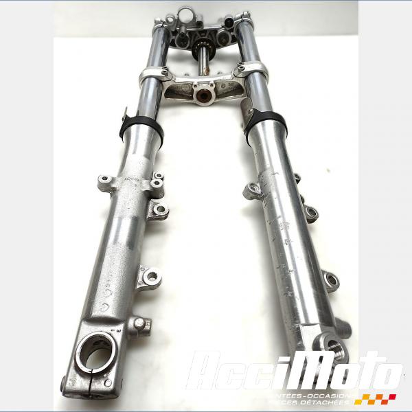 Part Motor bike Fourche complète YAMAHA BULLDOG BT1100
