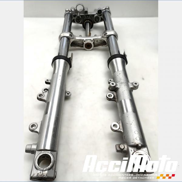 Part Motor bike Fourche complète YAMAHA BULLDOG BT1100