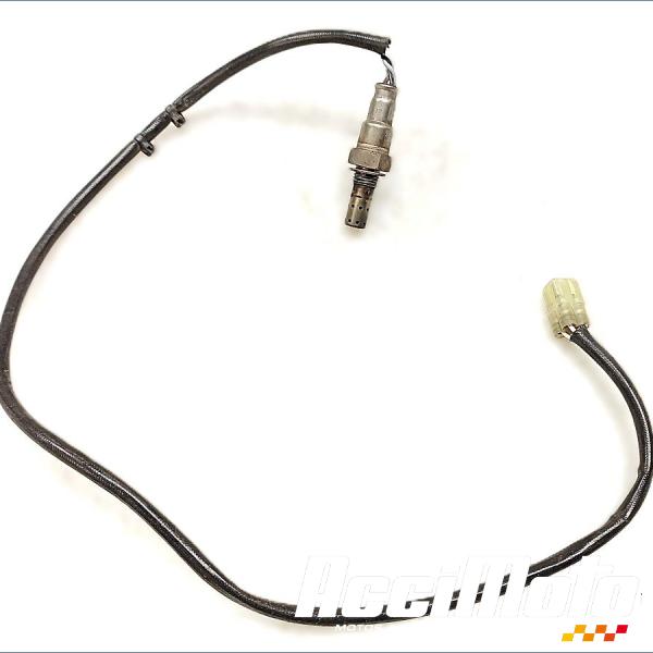 Pièce Moto Sonde lambda HONDA VARADERO XL125V