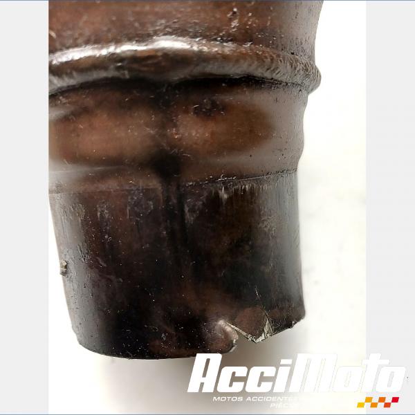 Part Motor bike Collecteur d'échappement KAWASAKI Z 800E