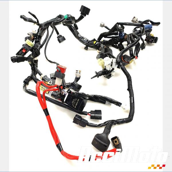 Pièce Moto Faisceau électrique (principal) YAMAHA MT-09