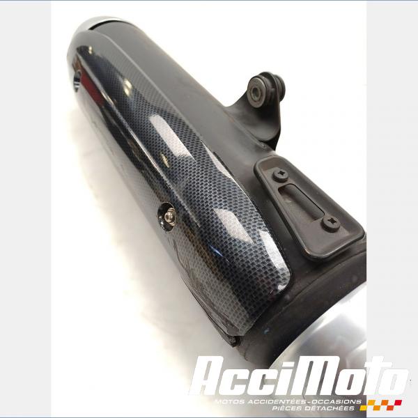 Pièce Moto Ligne d'échappement complète YAMAHA TMAX XP500