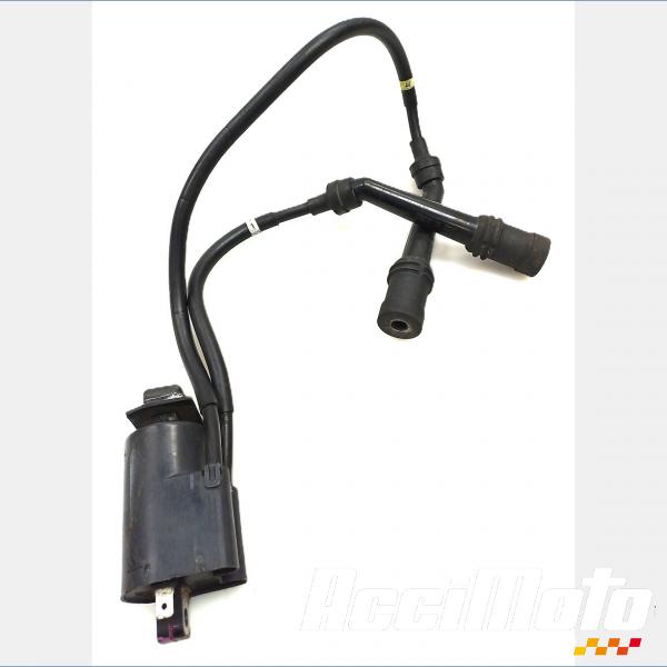 Part Motor bike Bobine d'allumage (1/4) YAMAHA FAZER FZS600