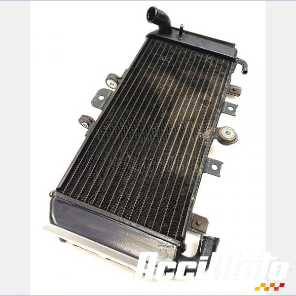 Part Motor bike Radiateur de refroidissement YAMAHA FAZER FZS600