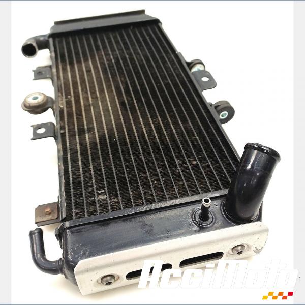 Part Motor bike Radiateur de refroidissement YAMAHA FAZER FZS600