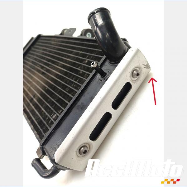 Part Motor bike Radiateur de refroidissement YAMAHA FAZER FZS600