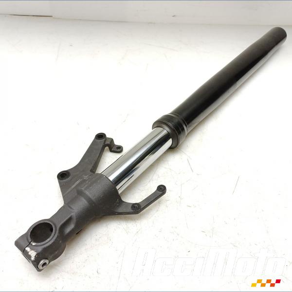 Pièce Moto Bras de fourche (droit) YAMAHA FZ1 N