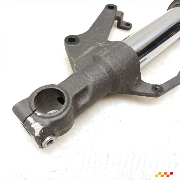 Pièce Moto Bras de fourche (droit) YAMAHA FZ1 N