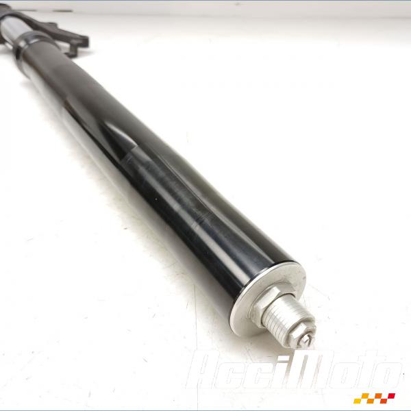 Pièce Moto Bras de fourche (droit) YAMAHA FZ1 N