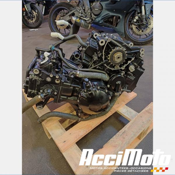 Pièce Moto Moteur TRIUMPH SPEED TRIPLE 1050 