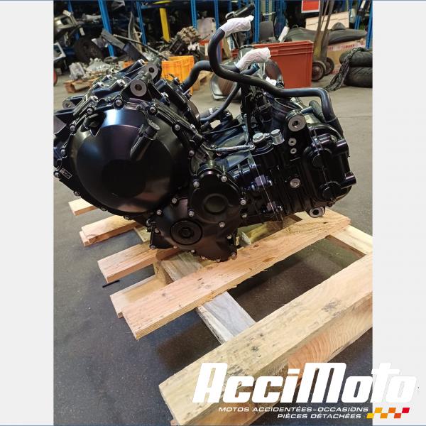 Pièce Moto Moteur TRIUMPH SPEED TRIPLE 1050 