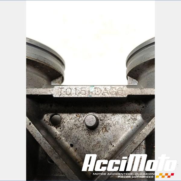 Pièce Moto Rampe d'injection (moteur) KAWASAKI ER6 N