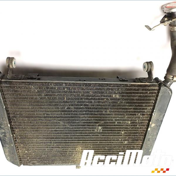 Pièce Moto Radiateur de refroidissement YAMAHA FJR 1300