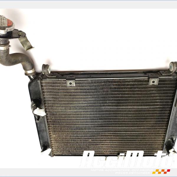 Pièce Moto Radiateur de refroidissement YAMAHA FJR 1300
