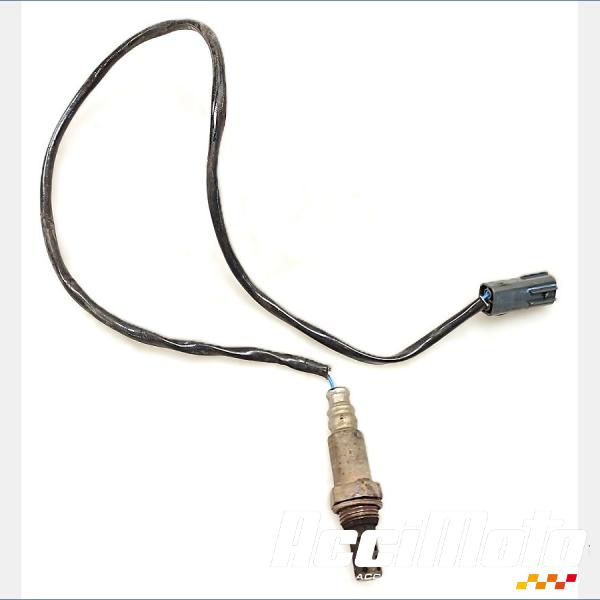 Pièce Moto Sonde lambda YAMAHA FJR 1300