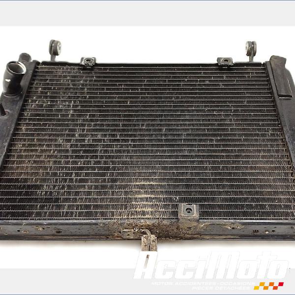 Pièce Moto Radiateur de refroidissement YAMAHA FJR 1300