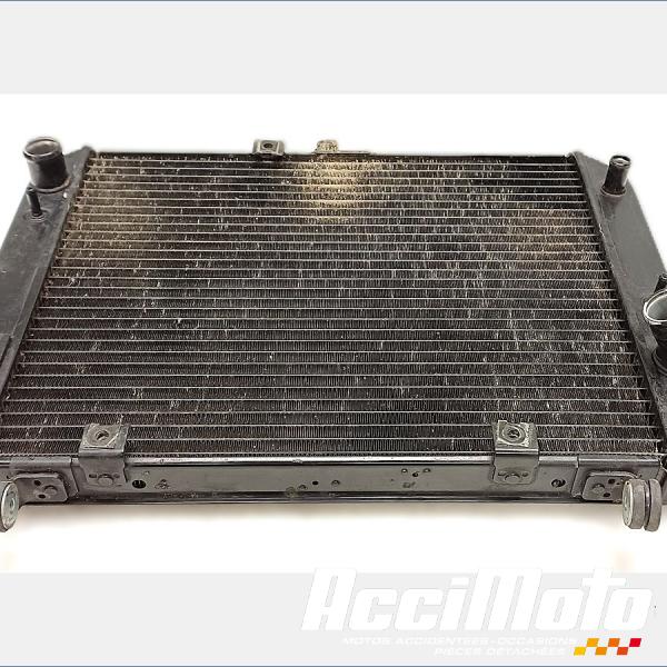 Pièce Moto Radiateur de refroidissement YAMAHA FJR 1300