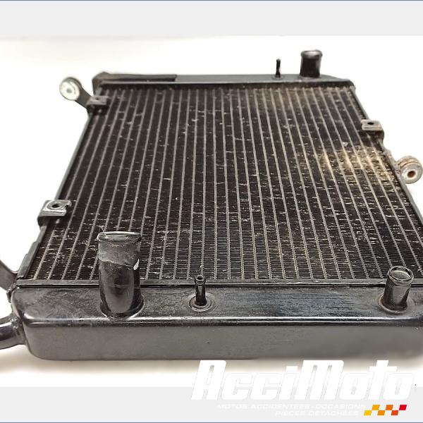 Pièce Moto Radiateur de refroidissement YAMAHA FJR 1300